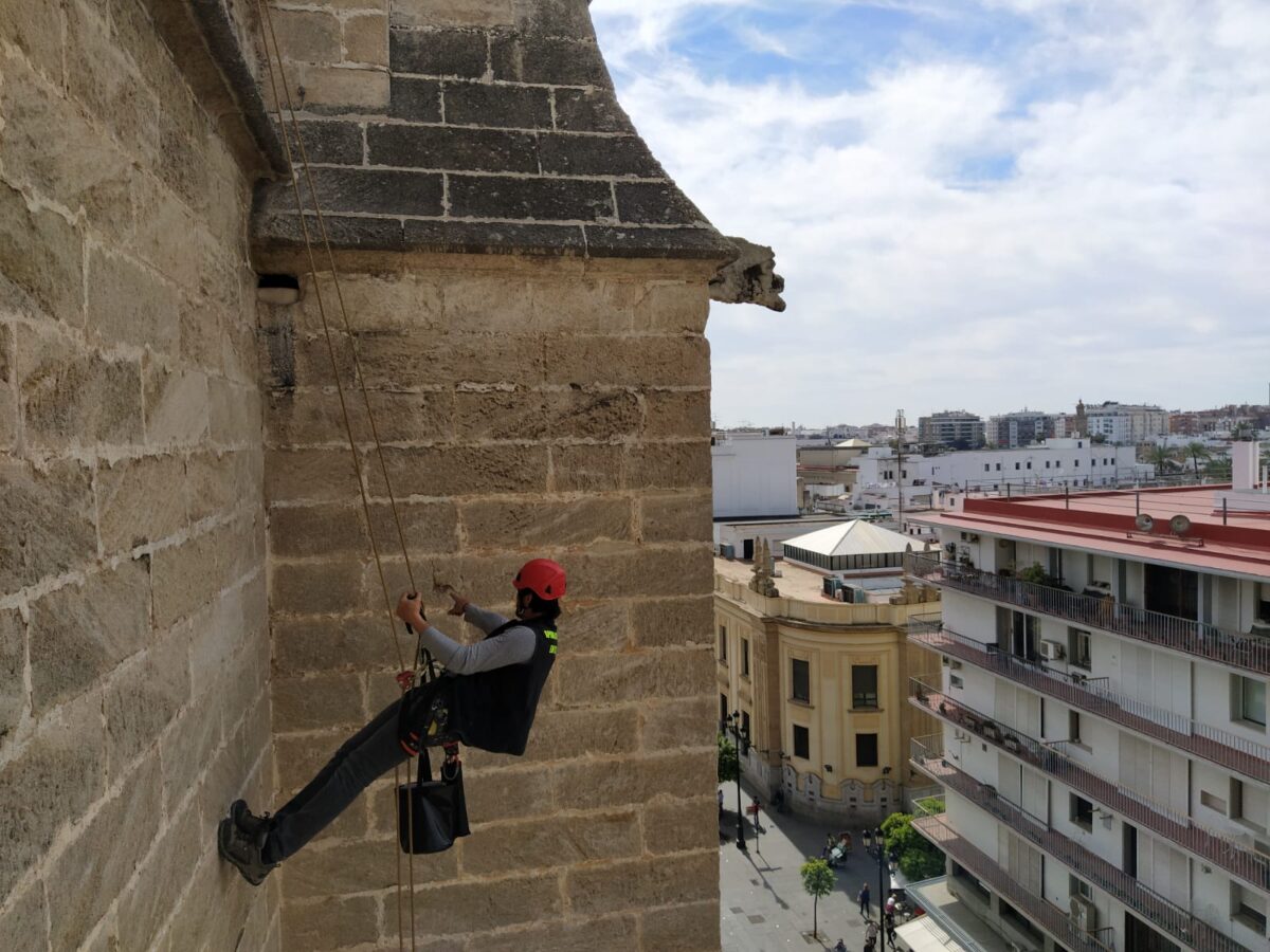 Inpección Puerta San Miguel. Catedral de Sevilla