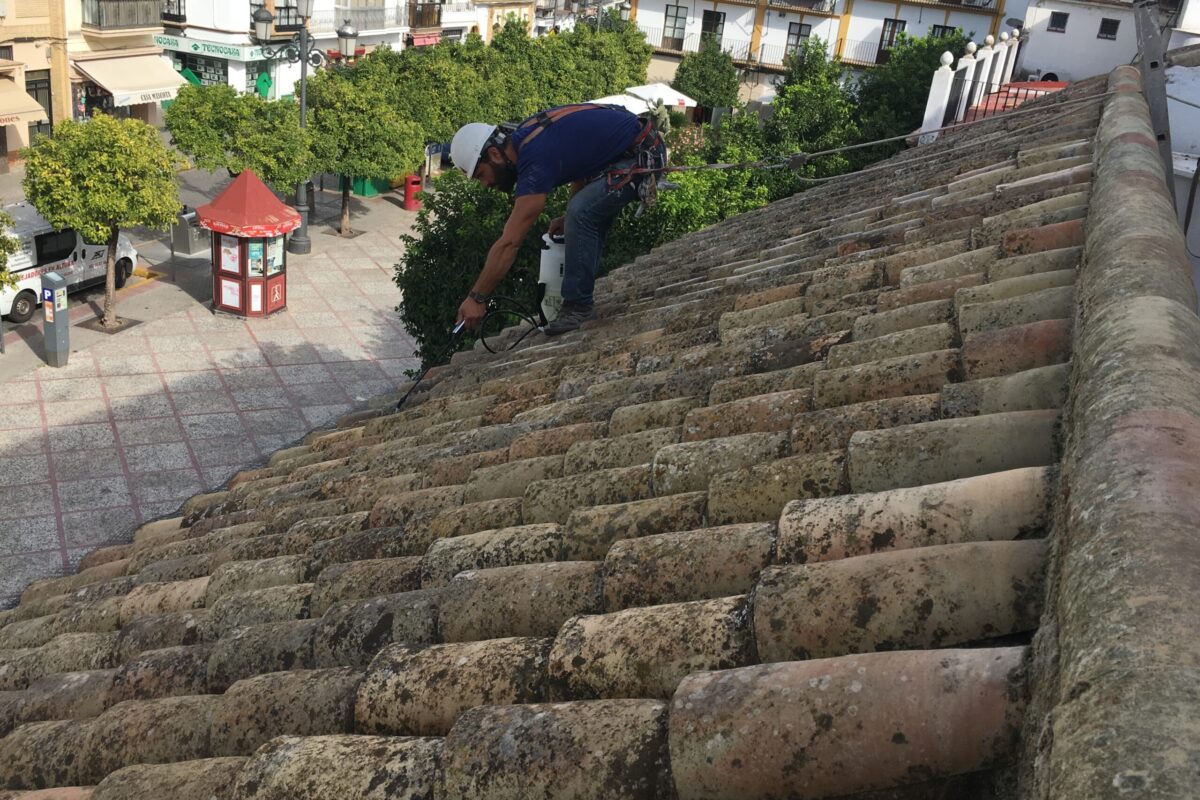 Limpieza e hidrofugado de cubierta de tejas. Utrera- Sevilla